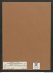 Licmophora paradoxa var. australis (Kuetz.) Grun. (de-Toni-Nr.: Genus 86, Species 2970) Zeichnungen Sammlung Grunow Mappe 03154 (Herbarium_W_Grunow_drawings_Folder_03154)